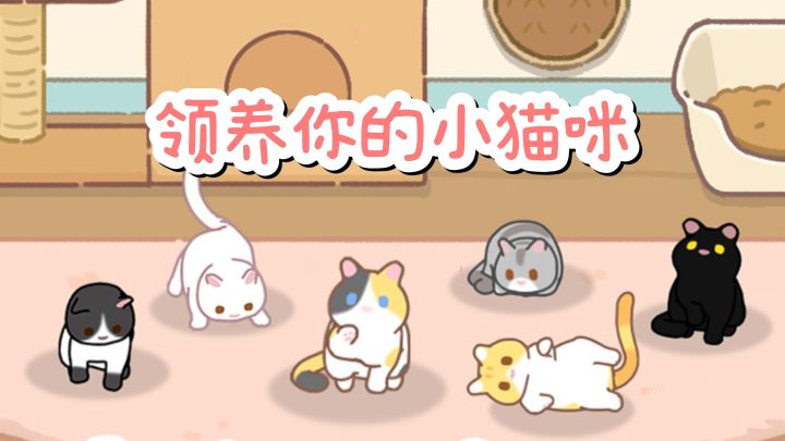 可以云养猫🐱了❗喂食、玩耍,培养亲密度❗截图