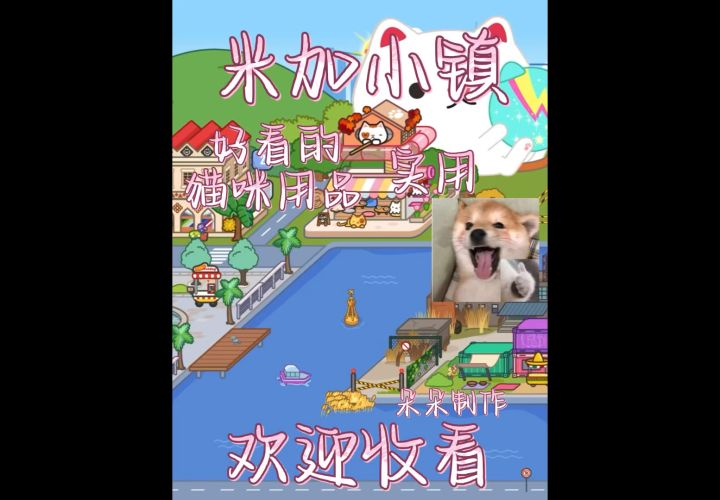 米加小镇好看实用的猫咪用品~截图