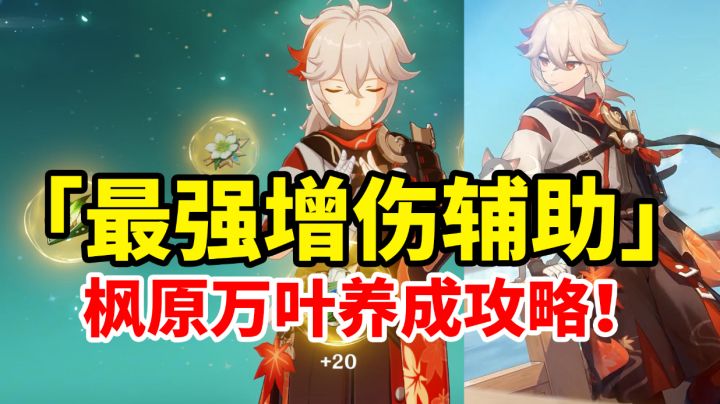 【原神】枫原万叶如何正确养成?全网最全面简单易懂萌新养成攻略!#新游观察局#截图