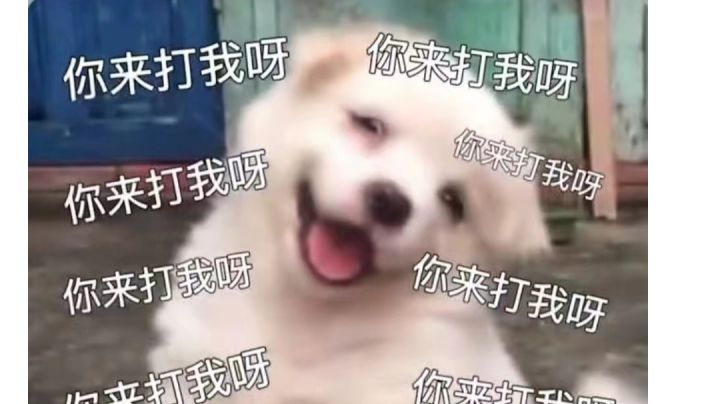暗星5名流50层虫子一口4600截图