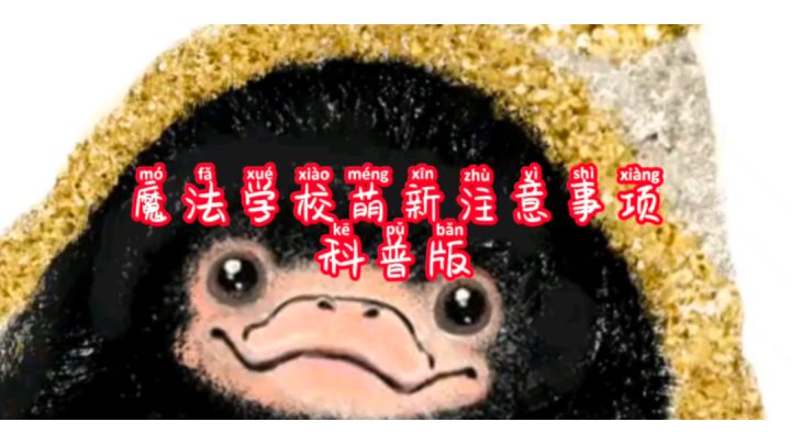 魔法学校萌新注意事项科普版截图