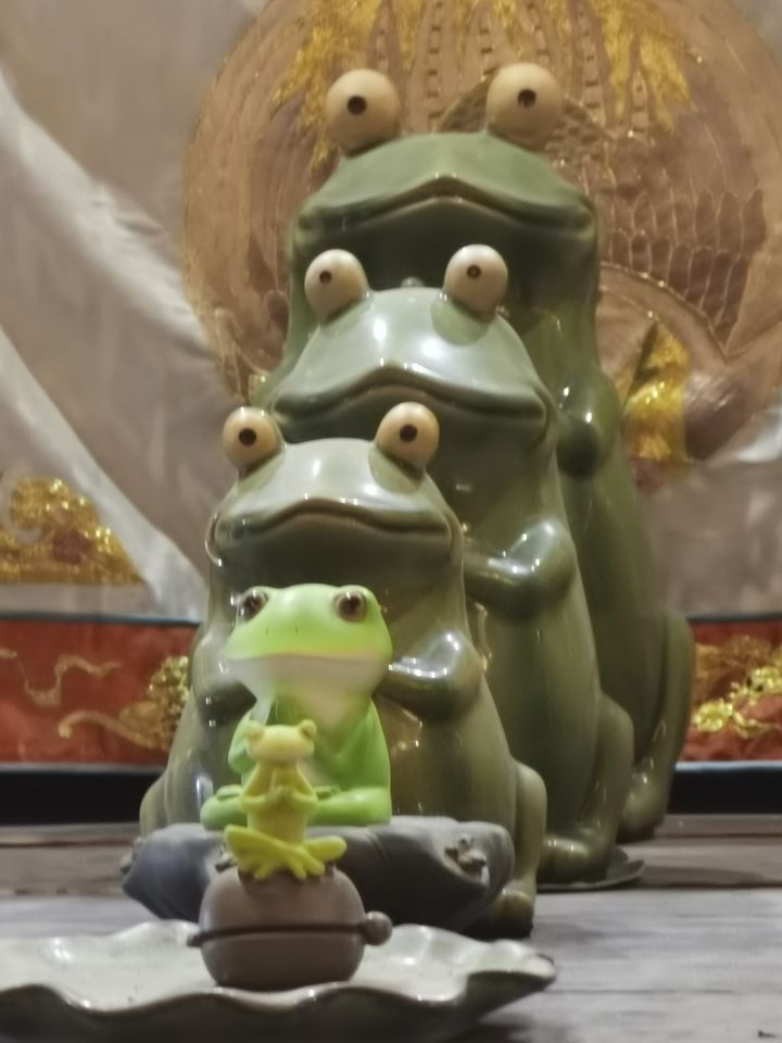 萌新刚入坑，这个维达自带大招是不是把松鼠三技能卡没了截图