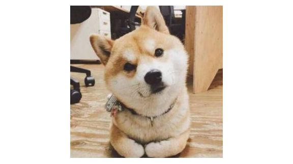 上个视频被人说是太氵了，又发了一个……🌚截图