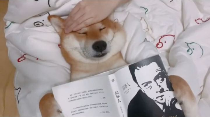 爱胡思乱想的人就应该找一个会随时表达爱意的人。截图