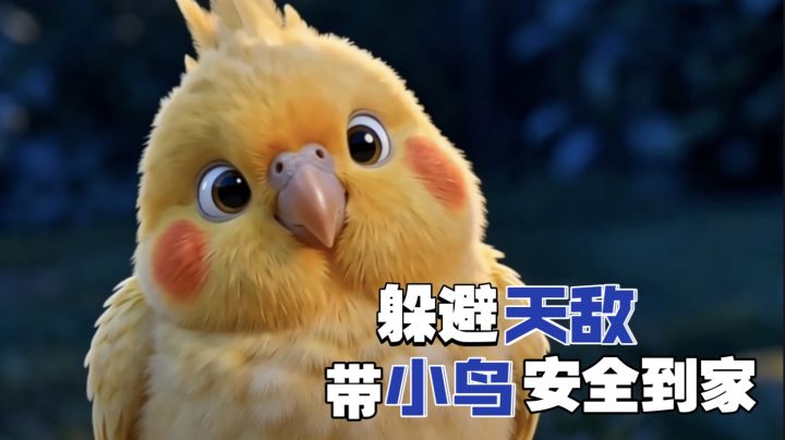 步步惊心!!化身小小鸟 觅食避开天敌埋伏 安全回家~截图