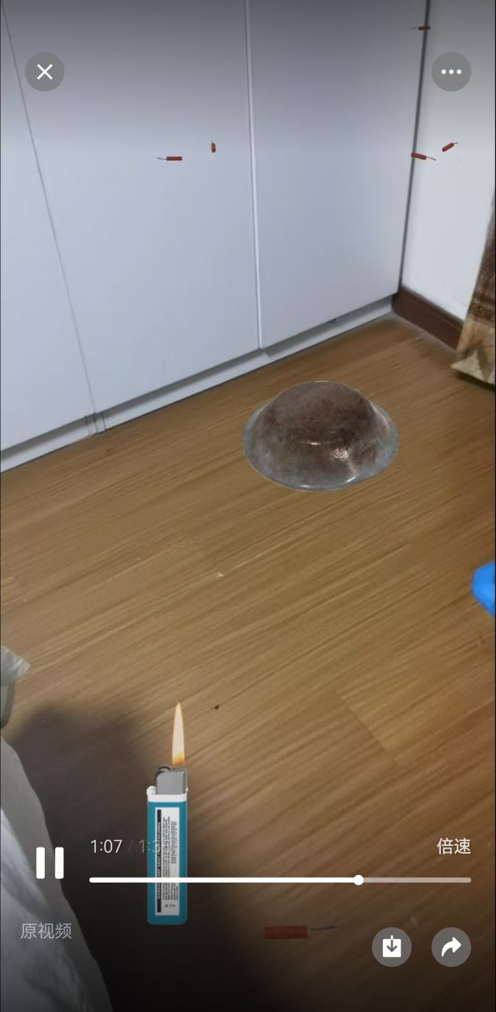 炸狗盆模式正式开玩截图