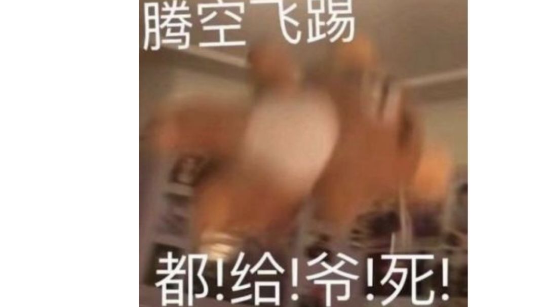 video-3751184