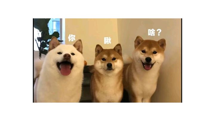 不会吧,你打篮球的不知道安卓手机的这个游戏?#无限视频创作月#截图