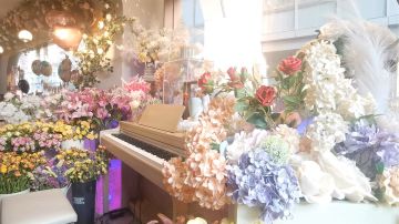 春日特辑！一曲《春透明》唤醒《大地》沉睡的生机，万物复苏～