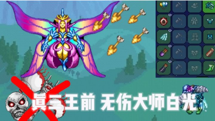 真三王前 代弓无伤大师白光(无闪避)截图