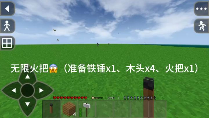 生存攻略1:无限火把！截图