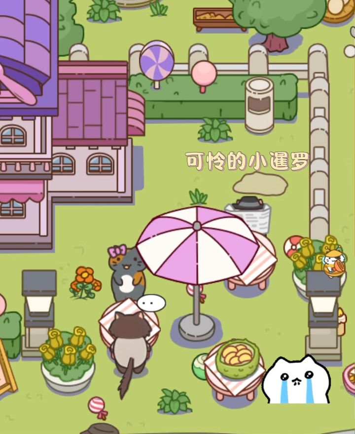 老师🙋🏻为什么受伤的都是我们可怜的小暹罗截图