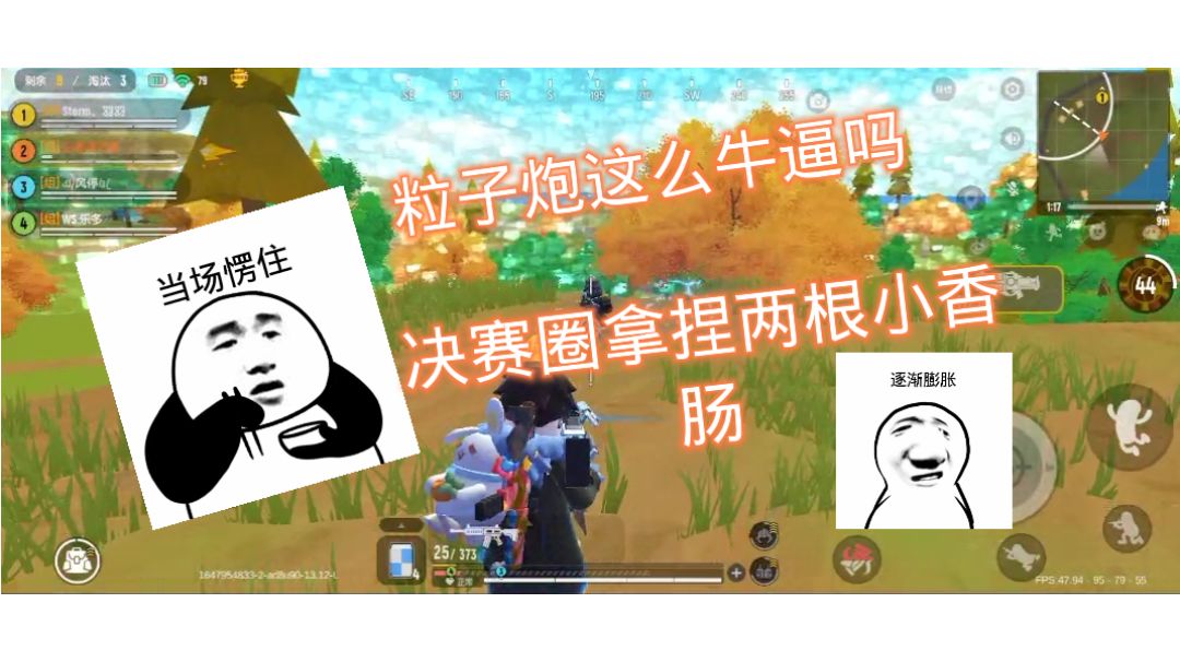 video-2504861
