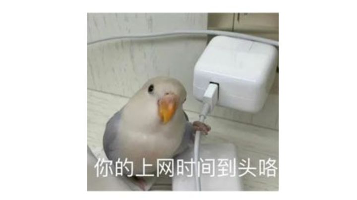 通关燕王，备战碧游截图