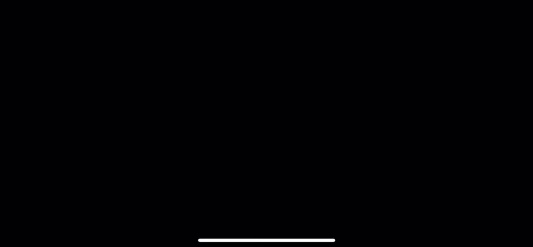 video-4797147