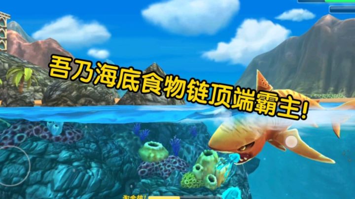 吾乃海底食物链顶端的霸主!截图