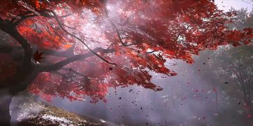 我嘞个豆吖，好长时间不叫充钱了～～