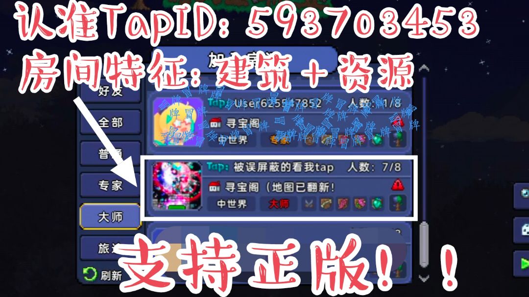 video-3975696