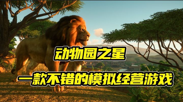 动物园之星 一款不错的模拟经营游戏截图