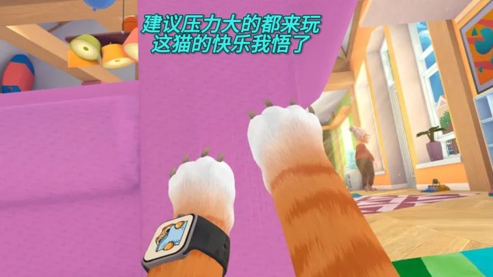 建议压力大的都来玩!这猫的快乐我悟了截图