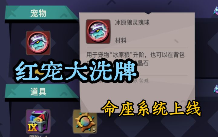 五一命座系统上线 新宠物皮肤爆料截图
