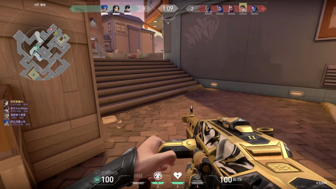 video-5208669