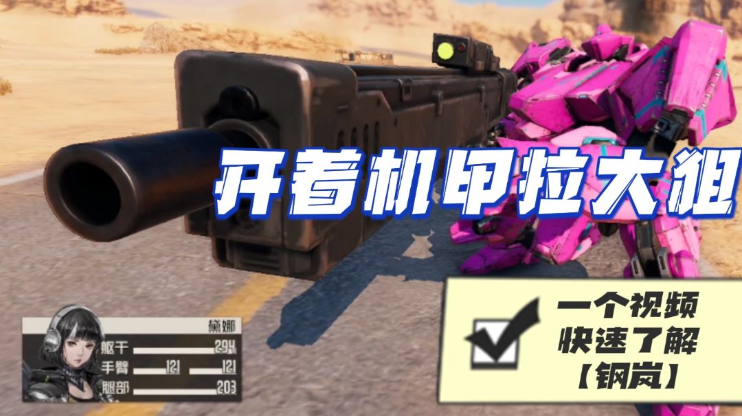 钢岚/毛歪歪：是否还在纠结入坑？一个视频快速了解截图