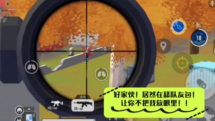 【小小】单人四排落地歪城轻松灭两队截图