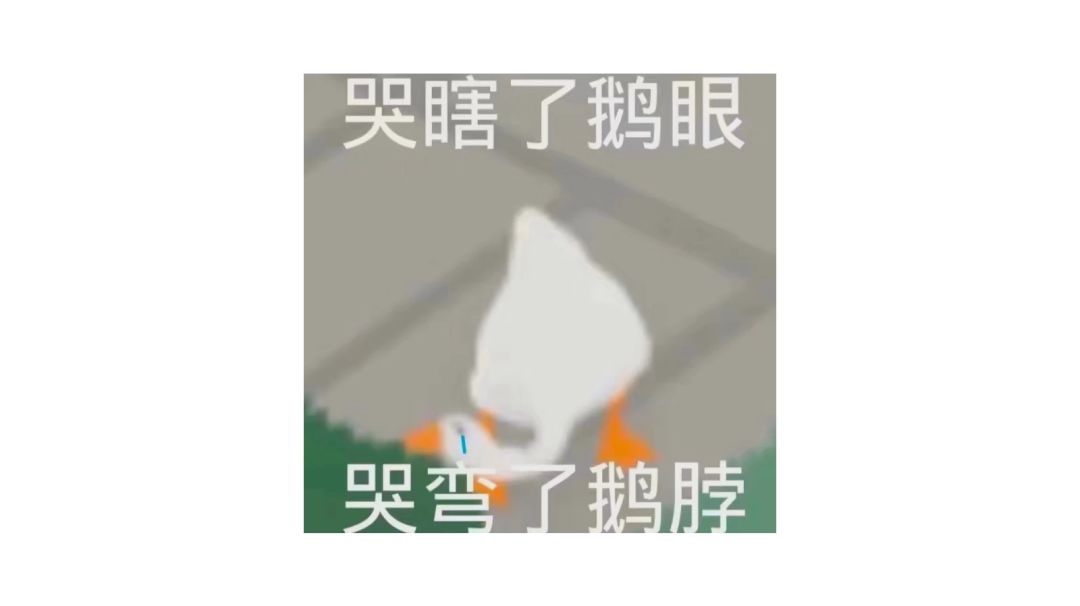 video-2706956
