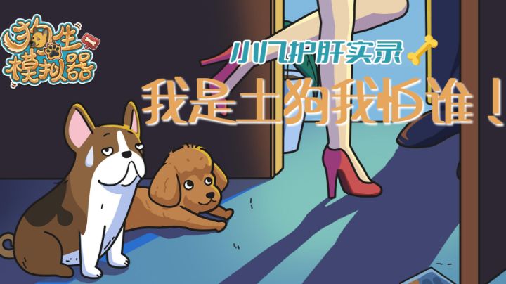 【小几护肝实录⑭】高贵冷艳的中华田园犬的一生 #暑假人集结#截图