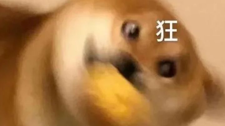 《游戏鉴赏》——抽卡人生#游戏喜剧人#截图