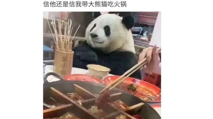 爱丽小姐姐好难用截图