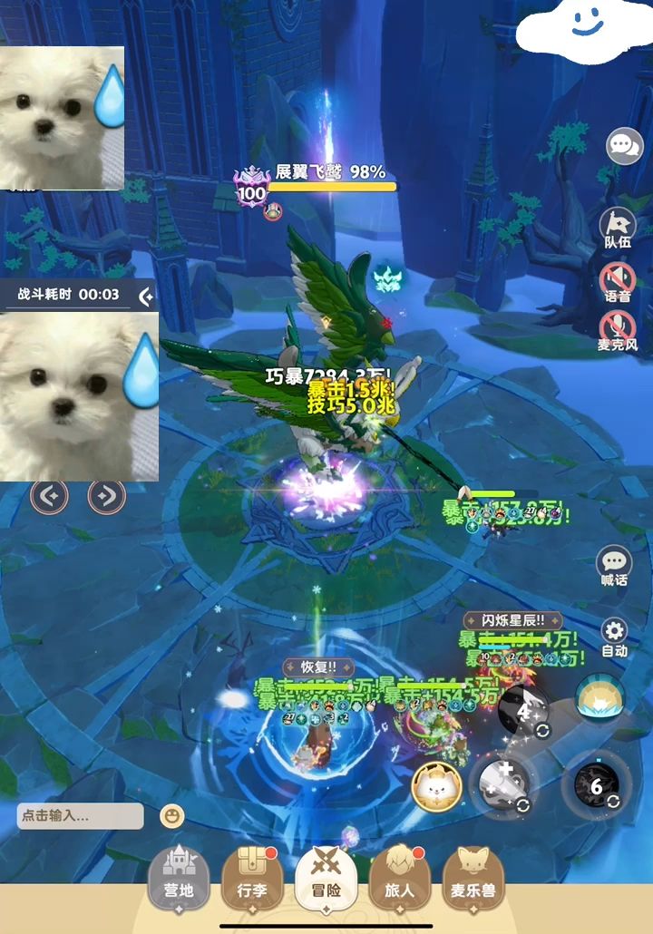 video-4843540