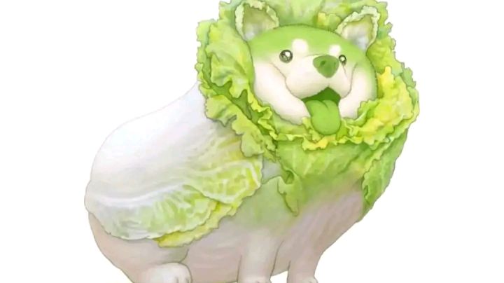 九本萌新终于能自己打挑战了(´∇ノ`*)ノ截图