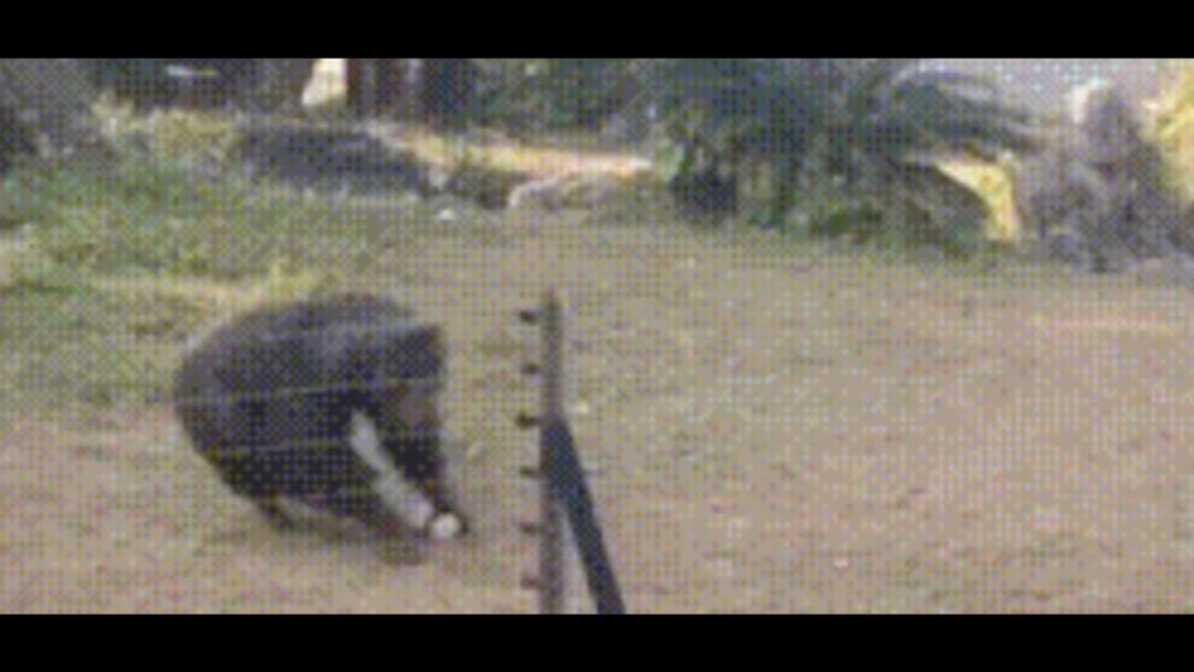 video-3740402