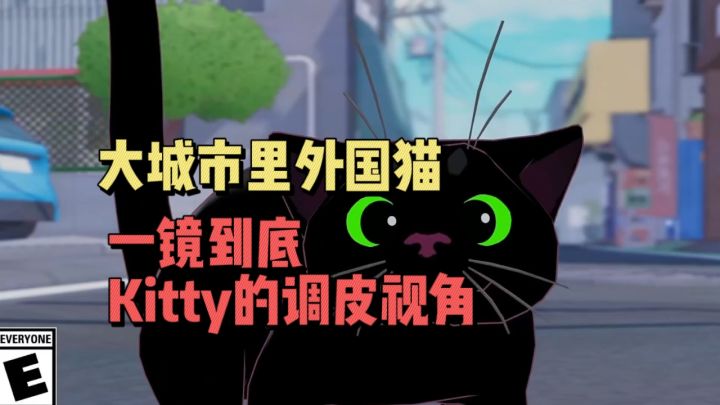 一镜到底Kitty的第一视角,小猫咪体验大城市截图