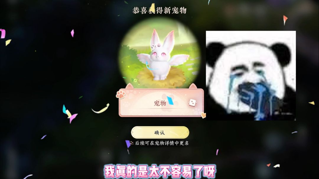 video-4881176