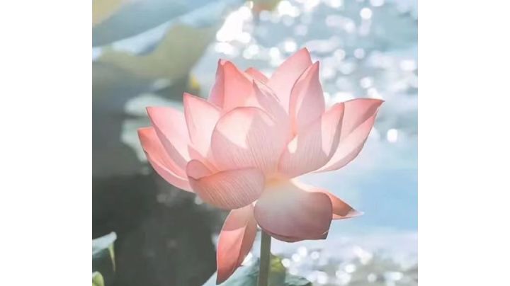游戏推荐:奕剑行截图