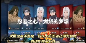 忍者之心，燃烧的梦想
