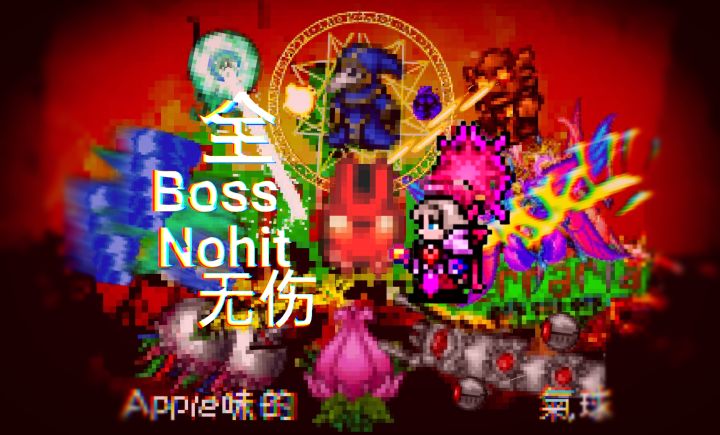 泰拉之下,月亮之上(全Boss无伤No hit)截图