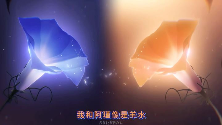双生子都是这样截图