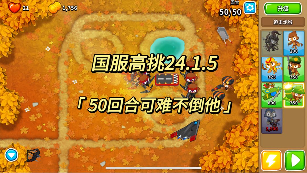 video-3866011