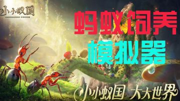 老婆养腻了？来养昆虫！#小小蚁国 公测#