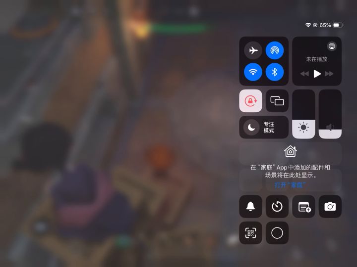 忘本之神（超自然小熊猫）截图