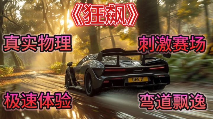 《狂飙》游戏:速度与激情的极致碰撞截图