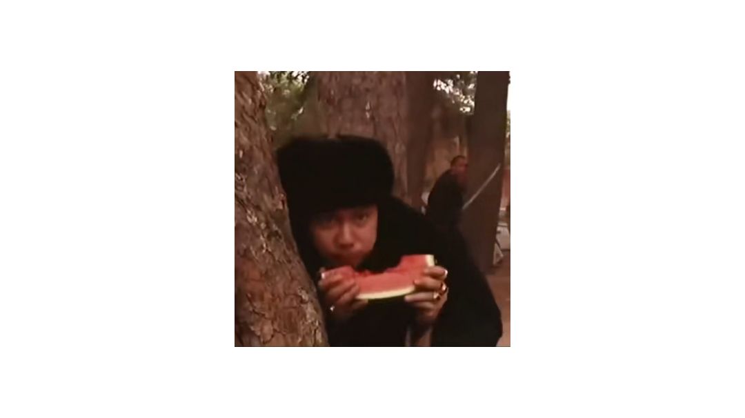 video-3130830