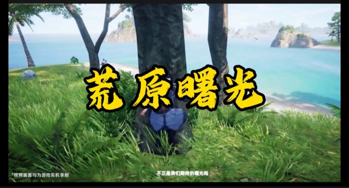 荒原曙光开启截图