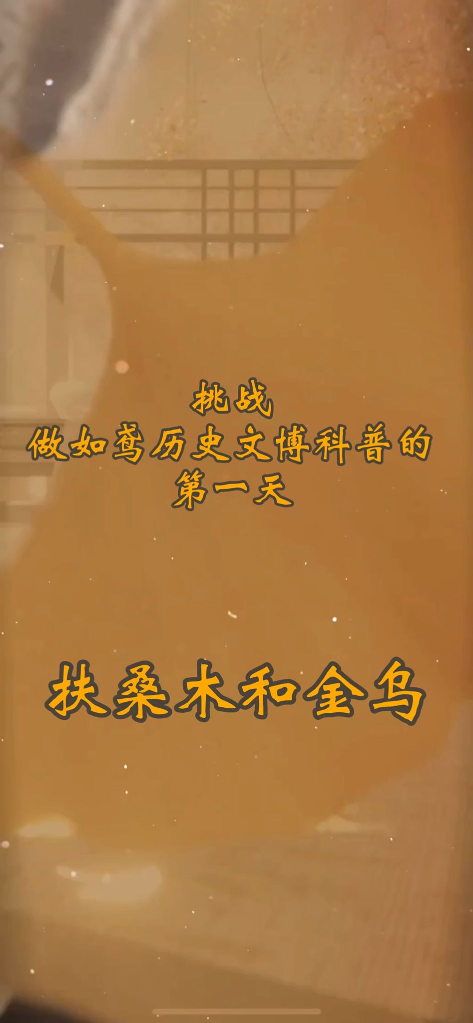 video-4480360
