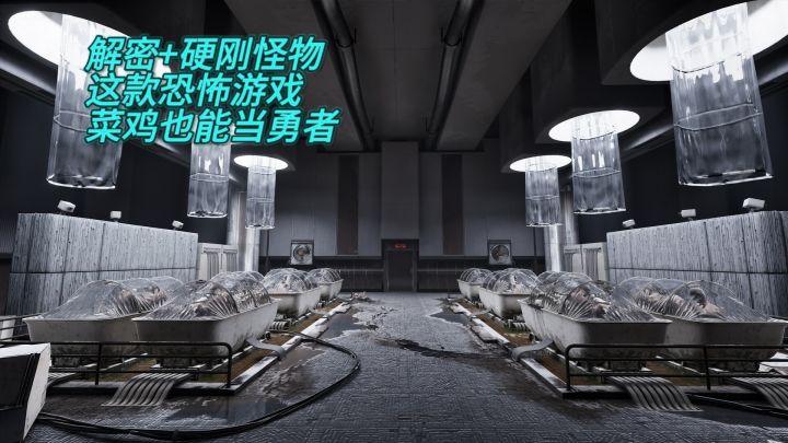 解密+硬刚怪物！这款恐怖游戏，菜鸡也能当勇者截图