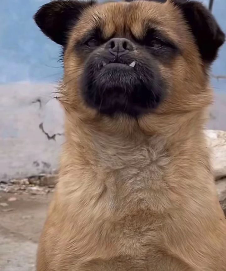 好搞笑啊！截图